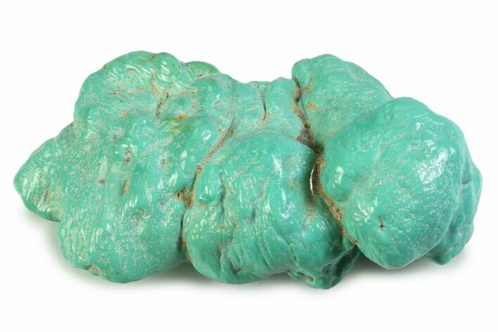 Polished Chilean Turquoise ( grams) Nugget #358828